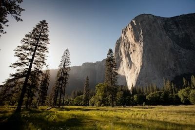 Quels sont les bienfaits que procure la nature sur le corps et l'esprit ?